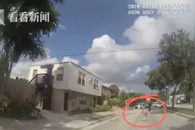 家养2岁小袋鼠出逃 大街上乱逛被警察“逮捕”图片