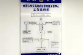 合肥成立安徽首个经济犯罪案件受案中心图片