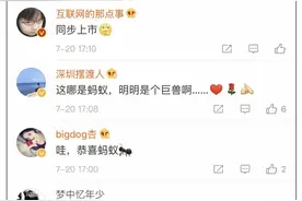 “这哪是蚂蚁，明明是巨兽啊”，支付宝母公司要上市了！计划在科创板和港交所寻求同步发行上市图片