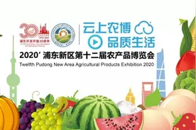 新鲜东海海鲜/“含桃量”70%的冰淇淋……农博会今日直播亮点频出图片