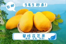 0.99元秒3斤！这是乘风破浪的姐姐喜欢吃的攀枝花芒果图片