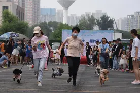 郑州社区举办文明养犬宣传活动 引来百余只宠物狗“秀才艺”图片