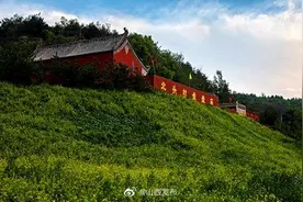 太原：油菜花美景吸引众游客图片