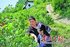 广东已帮4省（区） 379.2万人口脱贫图片