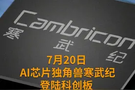 中国财富报道｜85后天才创始人身家超300亿!AI芯片第一股来了视频封面