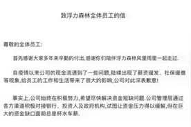 公司数据库被黑，冒出大量充值卡？20年的糕点品牌“浮力森林”关门了图片