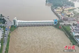 拖家带口，牵牛赶鹅…这里是全网都在感谢的王家坝图片