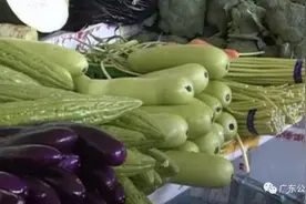 警惕！这种带苦味的瓜不能吃，一家四人因此中毒入院图片