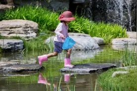 小微湿地：社区之宝图片