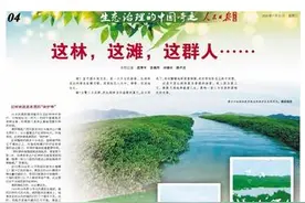 人民日报海外版整版关注｜广西北海红树林保护图片