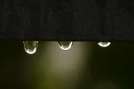 今日出梅，武汉雨还要下多久？图片