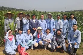 杂交育种可一步成功 中国科学家研发突破性育种技术图片