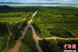 水清岸绿风景美 珠三角建成绿色生态水网图片