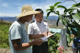 云南华坪芒果乘中欧班列首次出口俄罗斯图片
