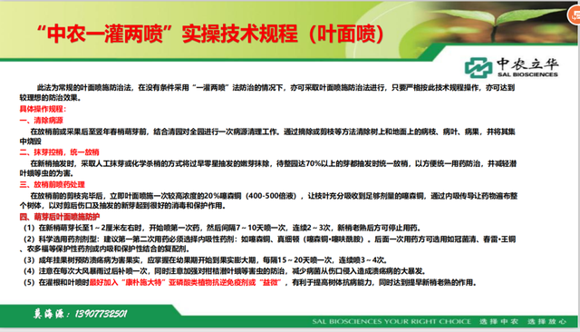 12位优秀服务商：重磅发布广西地区关键性作物解决方案