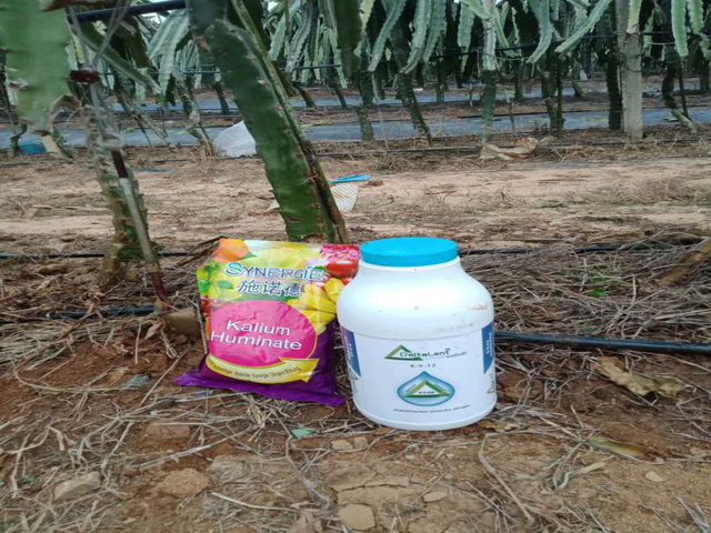 12位优秀服务商：重磅发布广西地区关键性作物解决方案