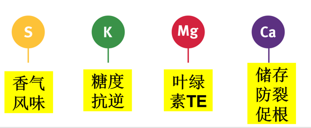 12位优秀服务商：重磅发布广西地区关键性作物解决方案