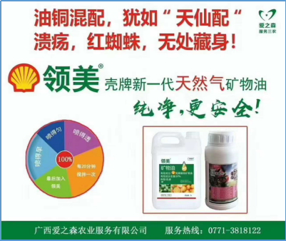 12位优秀服务商：重磅发布广西地区关键性作物解决方案