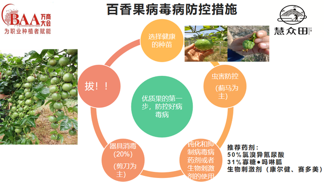 12位优秀服务商：重磅发布广西地区关键性作物解决方案