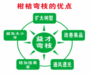 12位优秀服务商：重磅发布广西地区关键性作物解决方案