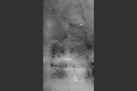 碰上了最难的毕业季，我该怎么办图片