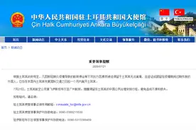 土耳其航空复航广州航线！中国驻土耳其使馆发布领事提醒：滞留人员需在一个月内离境图片