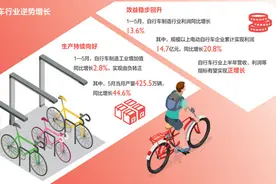 行业利润同比增长13.6%，自行车行业为何表现亮眼？图片
