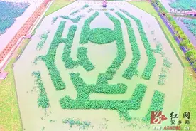 水上迷宫、民宿街区、网红摇摆桥……安乡仙桃景区升级，等你来玩图片