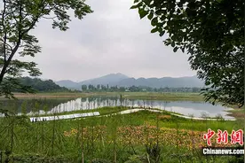 四川：荒地复绿焕生机“加码”幸福生活图片