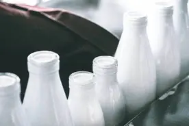 13家乳企今年扎堆闯关IPO，可持续经营能力成上市“硬指标”图片
