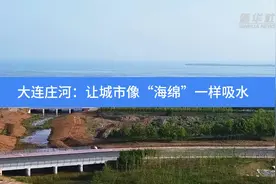 大连庄河：让城市像“海绵”一样吸水视频封面