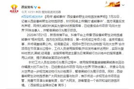 西安秦岭动物园发布虐熊事件声明：“扎熊针”为塑料材质指挥棒 已开除当事人图片