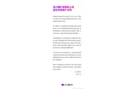 滴滴推出新品牌“花小猪打车”，定位年轻用户市场图片