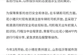 定位年轻用户市场，滴滴再推新业务“花小猪”图片