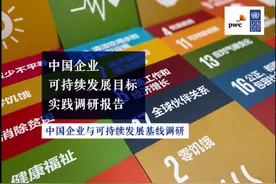 民族品牌闪耀国际舞台——康师傅入选联合国开发计划署中国企业可持续发展报告优秀案例图片