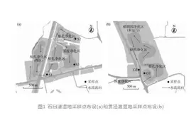 水源地人工湿地水质净化效果及其对浮游植物的影响图片