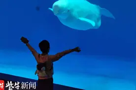 「努力学习的脑瘫女孩后续」视频｜她的两个愿望实现了：与美人鱼“亲密”接触，一台平衡车图片