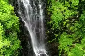 时政微视频丨瞰吉林视频封面
