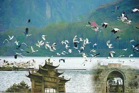 隆昌旅游“出圈”争创天府旅游名县图片