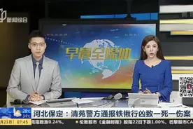 河北保定：清苑警方通报铁锹行凶致一死一伤案视频封面