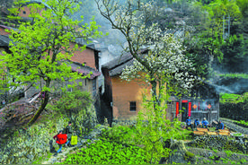 赏花卖果富村民图片