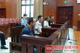 抓青蛙、捕画眉、卖鹦鹉……统统判刑！广西接连宣判多起捕猎野生动物案图片