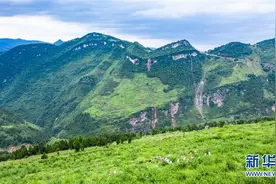 贵州桐梓：花椒产业促增收图片