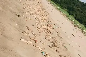 中国人有多爱大猪蹄子？一年可以吃掉近300万吨图片