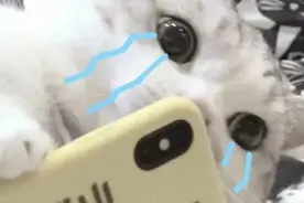 雨天防触电，这些须谨记图片