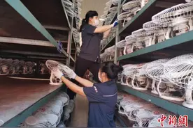 “风扇姐”张桂芹：为绿皮车送清凉图片