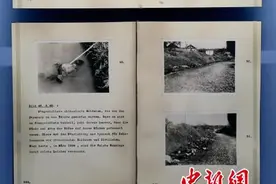 在波茨坦会议旧址重读《拉贝日记》图片