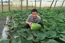 这个“兵哥哥”不一般——记吉林省榆树市八号镇西胜村第一书记邴玉涛图片