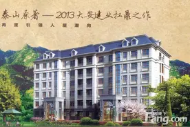 泰山超高人气小区大安·泰山原著 VS 乐道小城？图片