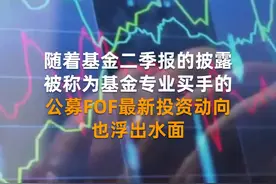 中国财富报道|“基金专业买手”最新持仓曝光视频封面